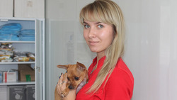 Клей и «клещ». Ветеринар Анна Нехвядович рассказала забавные истории о питомцах и хозяевах