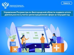 Управление Росреестра подвело итоги деятельности в учетно-регистрационной сфере за текущий год