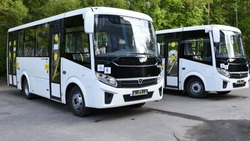 Четыре новых автобусных маршрута появятся в Губкине