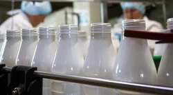 Рост экспорта продукции АПК Белгородской области составил 128,5% в 2024 году