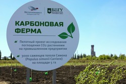 Материал