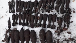 Белгородец нашёл 40 снарядов времён войны в лесополосе