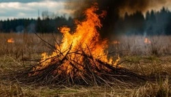 Особый противопожарный режим вводится на территории Белгородской области