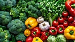 Губкинцы могут купить свежие и качественные продукты на муниципальных ярмарках