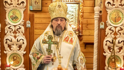 Белгородская митрополия сообщила о болезни митрополита Иоанна