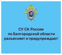 Следственный комитет напомнил о способах дистанционного мошенничества