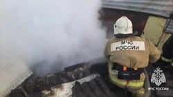 Губкинские спасатели ликвидировали пожар в хозяйственной постройке