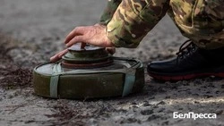 Вячеслав Гладков рассказал об использовании бойцов самообороны в разминировании региона