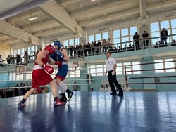 Областные соревнования по боксу «Память» торжественно открылись в Губкине