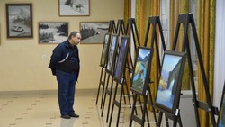 Открытие выставки «Новые имена» состоялось в Губкине