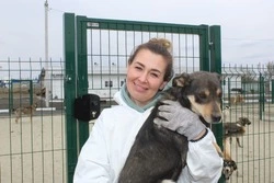 Губкинский приют для безнадзорных животных посетили общественные инспекторы из Белгорода