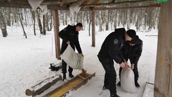 «Лесные столовые» будут действовать до весны в Белгородской области