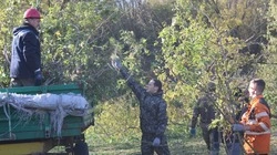 Осенний экологический субботник завершился в Губкинском городском округе