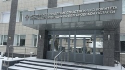 Следком напомнил об  усиленной профилактике детского травматизма в холодное время года