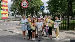 Познавательная программа «Наши помощники – знаки дорожные» прошла в Губкине