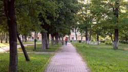 Специалисты разделят старый парк на ул.Скворцова на две зоны отдыха