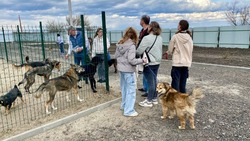 Маргарита Олейник: «Мы с радостью открываем двери приюта для всех, кто любит братьев наших меньших»