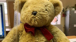Белгородские таможенники нашли украшения в плюшевом медведе