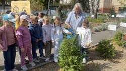 Аллея губкинских поэтов высажена в детском саду ОК «СтартУМ»