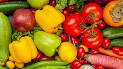 Белгородская область стала одним из лидеров по производству тепличных овощей