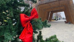 Благоустроенные по ФКГС общественные пространства примут участие в проекте «Ёлки России»