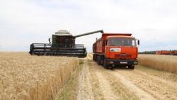 Белгородский регион вошёл в топ-3 страны по урожаю зерновых культур