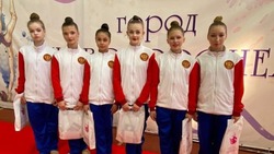 Губкинские спортсмены приняли участие в соревнованиях по художественной гимнастике «Жар-птица»