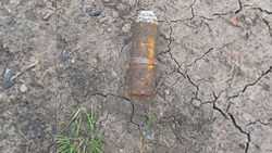 Житель Губкина нашёл взрывоопасный предмет