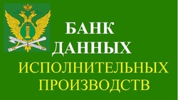 Более 18 тысяч белгородцев воспользовались сервисом  «Банк данных исполнительных производств» 