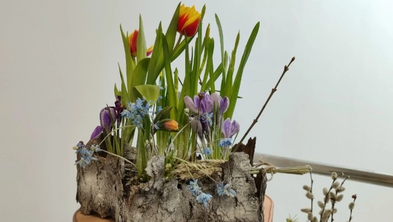 Губкинцы стали победителями и призёрами областного конкурса «Приближая дыханье весны…»