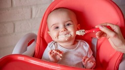Порядка 5 тыс. белгородских семей получили компенсацию на приобретение детского питания в этом году