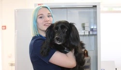 Воплотила в жизнь свою давнюю мечту – заботиться о хвостатых друзьях