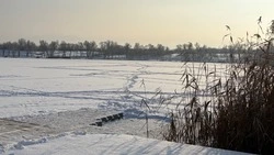 Спасатели напомнили губкинцам правила безопасности при купании на Крещение Господне