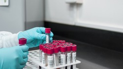 Лаборатории Белгорода обрабатывают более 90% тестов на коронавирус в течение суток
