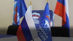 Местное отделение партии «Единая Россия» поздравило губкинцев с Днём народного единства