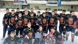 II этап Первенства Белгородской области по хоккею прошёл во Дворце спорта «Кристалл» в Губкине