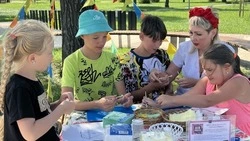 Губкинцы могут принять участие в мастер-классах на территории «Губкин-Лесопляжа»