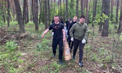 Губкинские волонтёры приняли активное участие в акции по заготовке брёвен