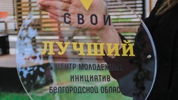 Губкинский ЦМИ стал первым в Белгородской области