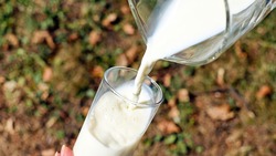 Три молочных продукта белгородского производителя получили российский Знак качества