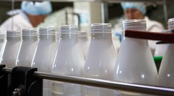 Рост экспорта продукции АПК Белгородской области составил 128,5% в 2024 году