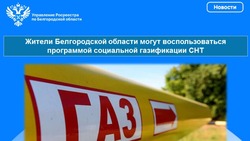 Жители Белгородской области смогут воспользоваться программой социальной газификации СНТ 