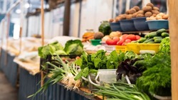 Губкинцы смогут купить продукты на традиционной муниципальной ярмарке