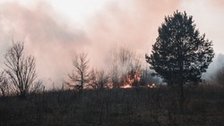 Росреестр Белгородской области провёл более 400 мероприятий по предупреждению возникновения пожаров