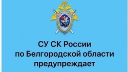 Следком призывал детей и их родителей не забывать о мерах безопасности в сети Интернет