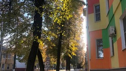 Осень порадует белгородцев тёплой погодой