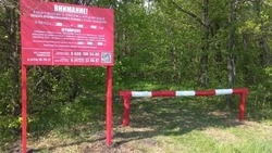 Ограничения на пребывание граждан в лесах вводятся в Белгородской области