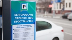 Правила пользования парковками для инвалидов и многодетных семей изменились в Белгороде