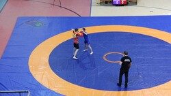 Белгородские спортсмены поборолись за звание лучших в чемпионате ЦФО по грэпплингу
