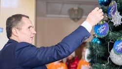 В Белгородской области стартовала акция «Ёлка желаний»